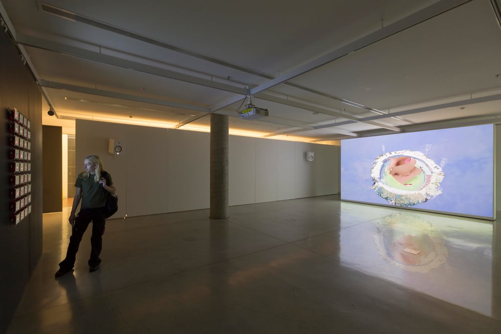 Baden Pailthorpe, Clanger, installation view, UTS Gallery 2018