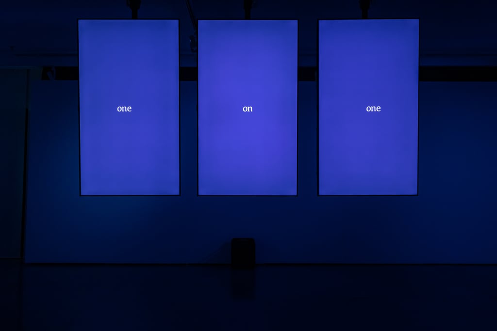 Maggot exhibition