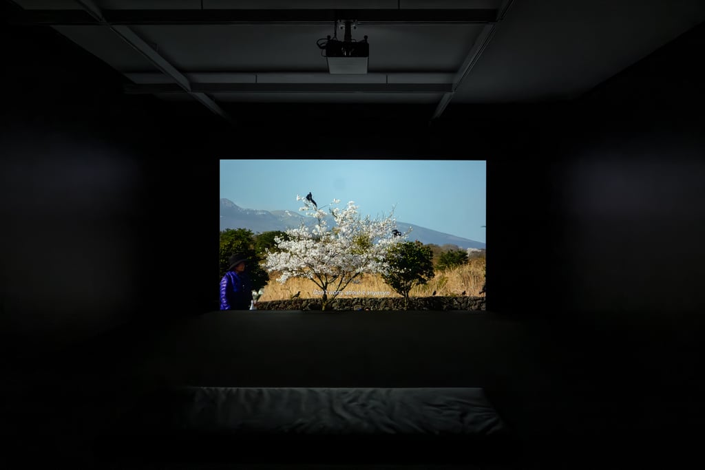 A Moment in Extended Crisis exhibition