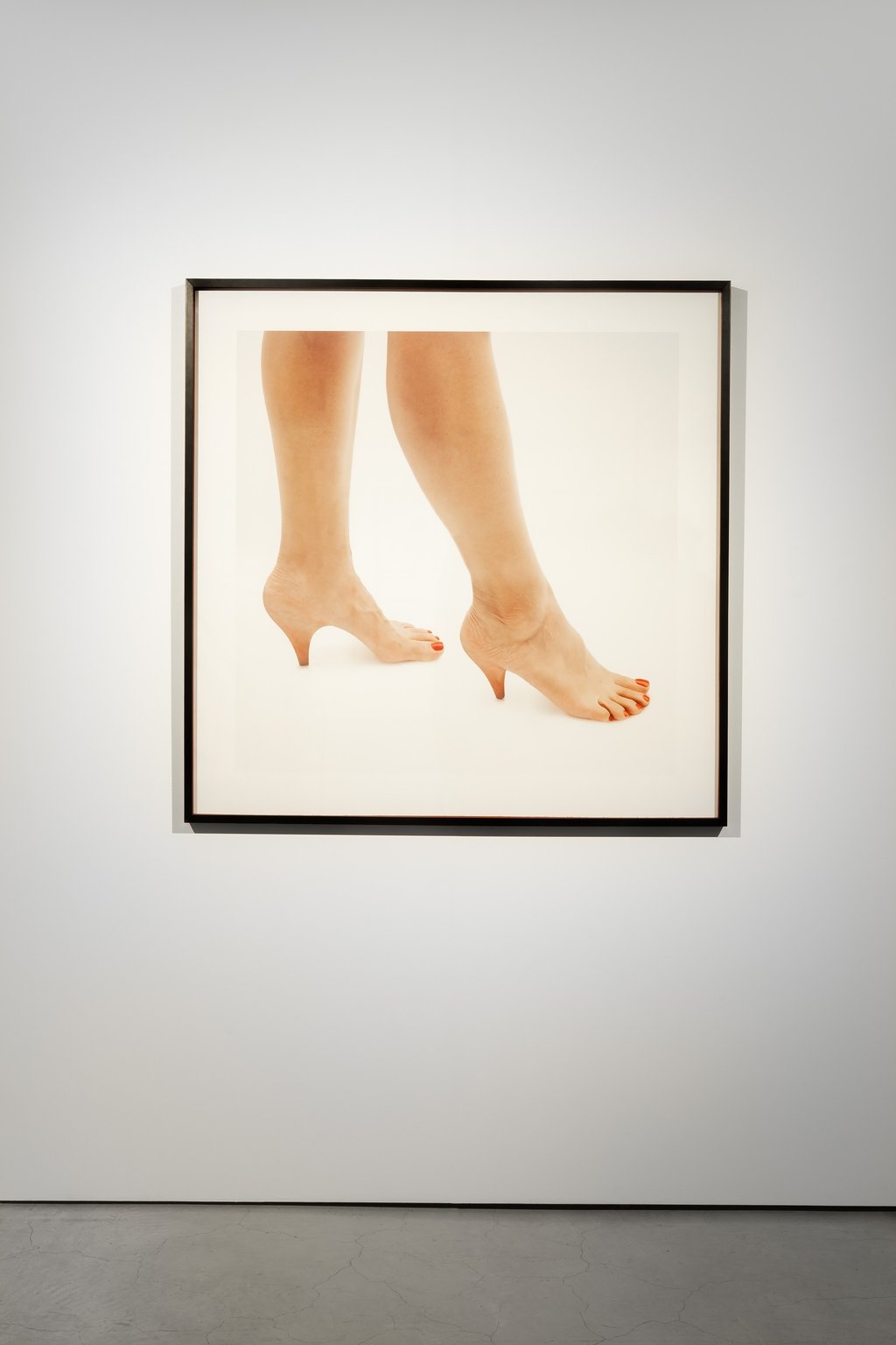 Installation in gallery