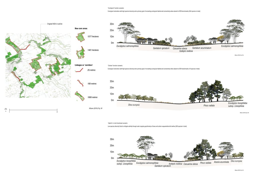 Infographic showing cross sections of green areas and the types of vegetation that occur.