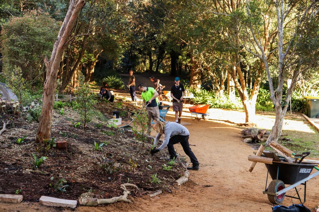 University of Technology Sydney architecture students installing plants at Fred Hollows Reserve.