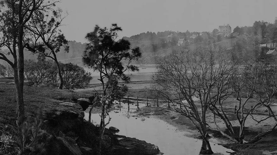 Black and white photo of Rushcutters Bay before its development