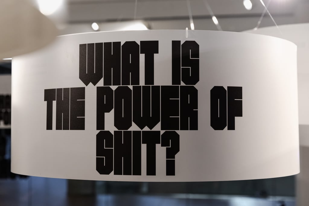 Installation in gallery