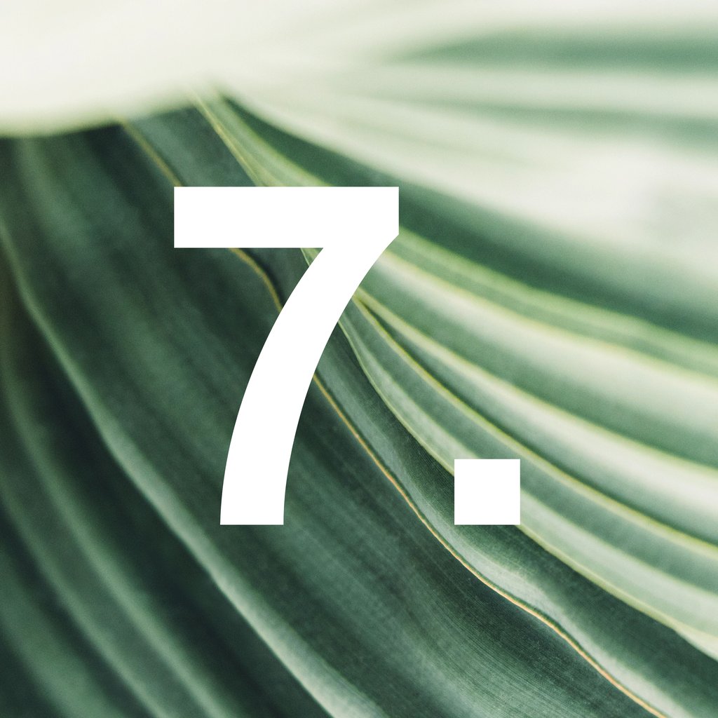 7.
