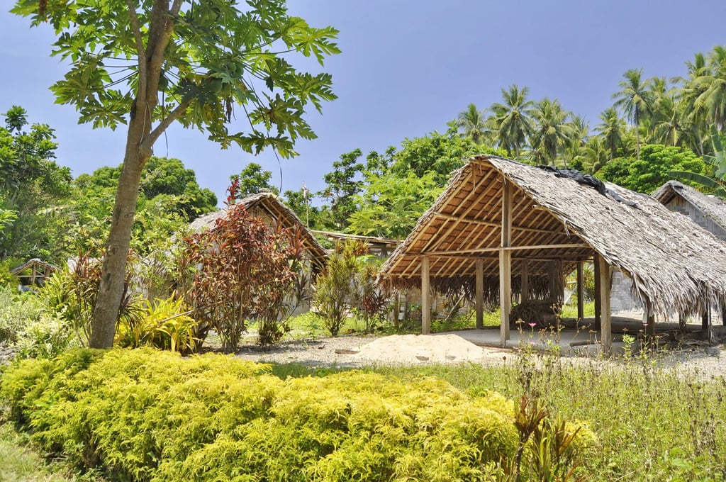 Traditional huts with thatched roofs surrounded by lush greenery and palm trees under a clear blue sky. The scene is serene and tropical.