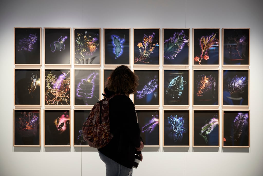Installation in gallery