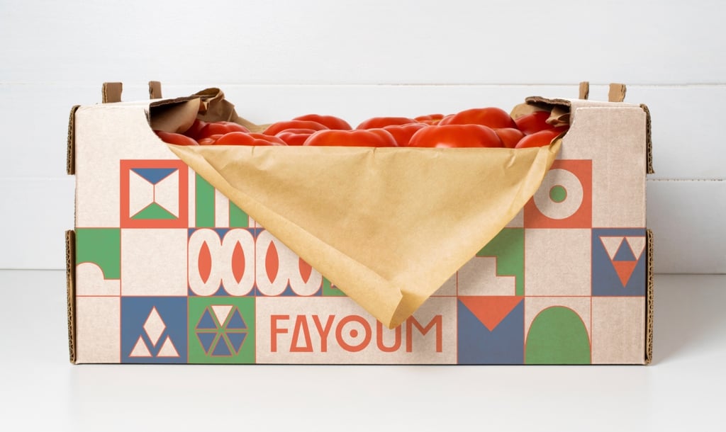 Jannah Abdellatif's Fayoum, Egypt concept place branding project