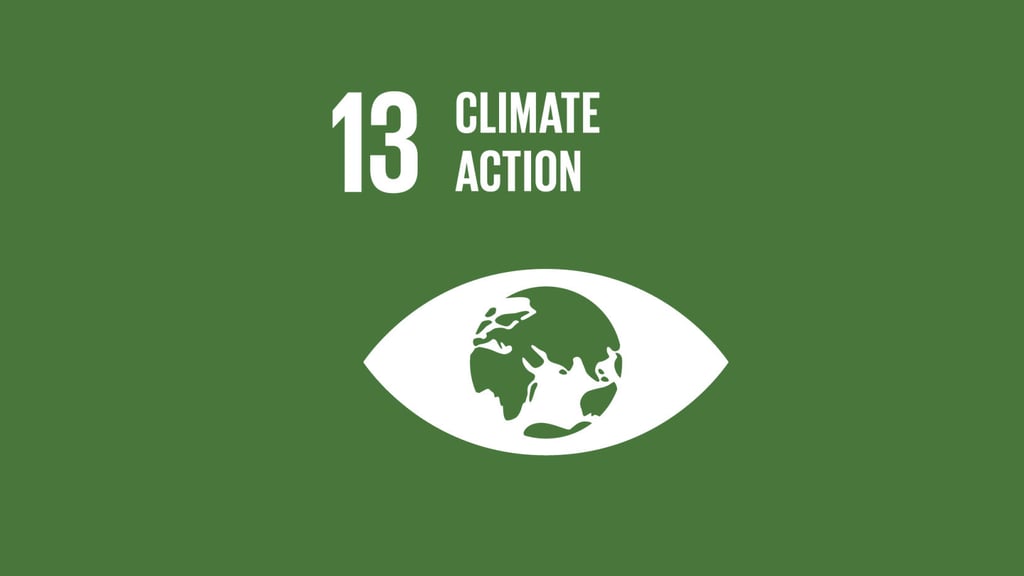 Green background with white text "13 Climate Action" at the top left. Below, an eye-shaped graphic with Earth inside.