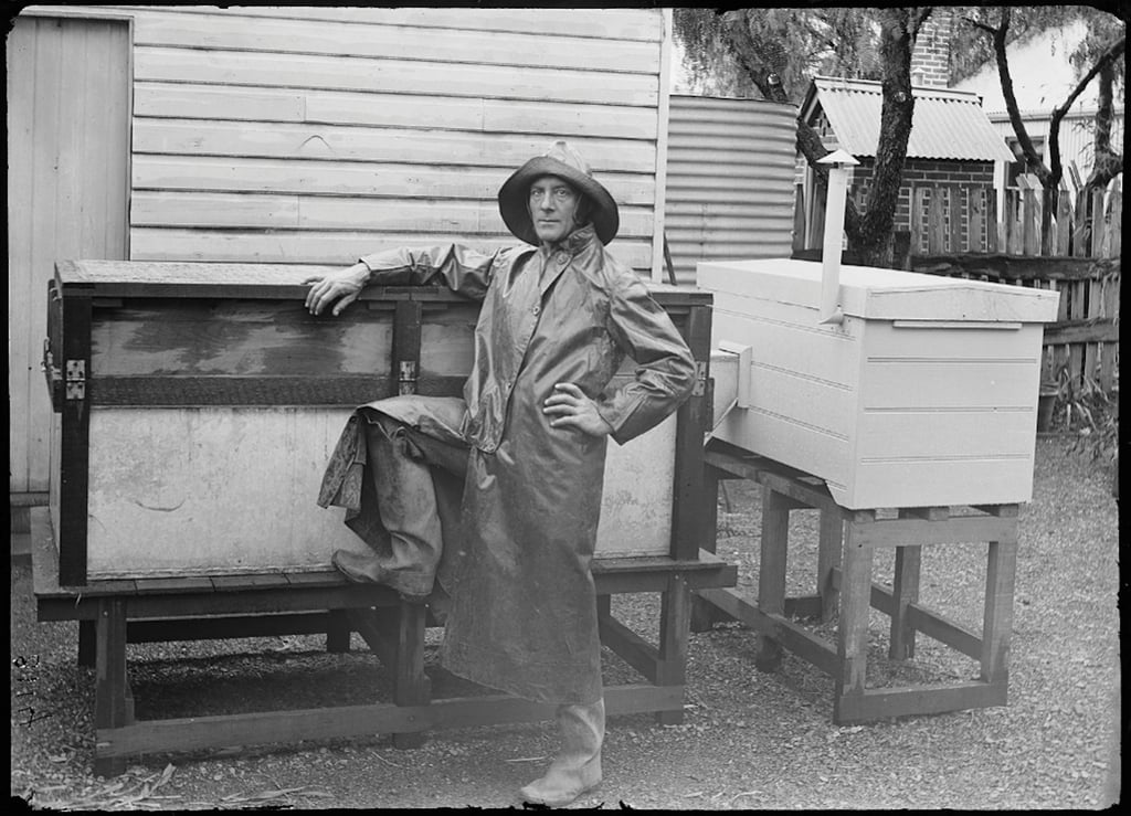 Burrell’s ‘platypusary’ mimicked the animal’s real burrow networks. Courtesy Australian Museum archives