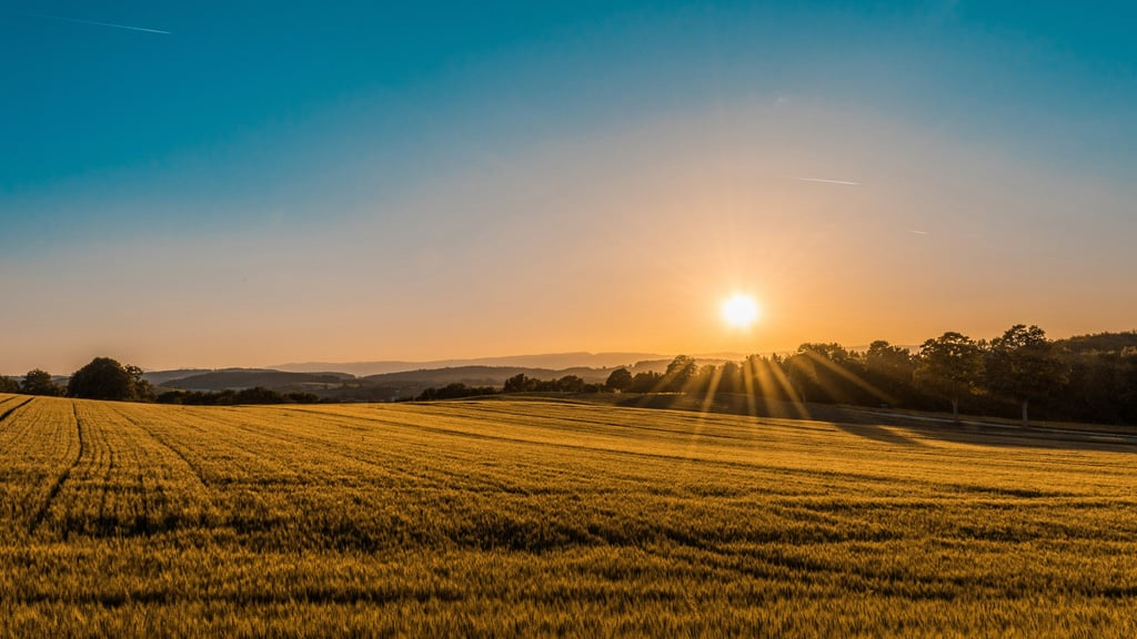 Sun setting over a grass plain
