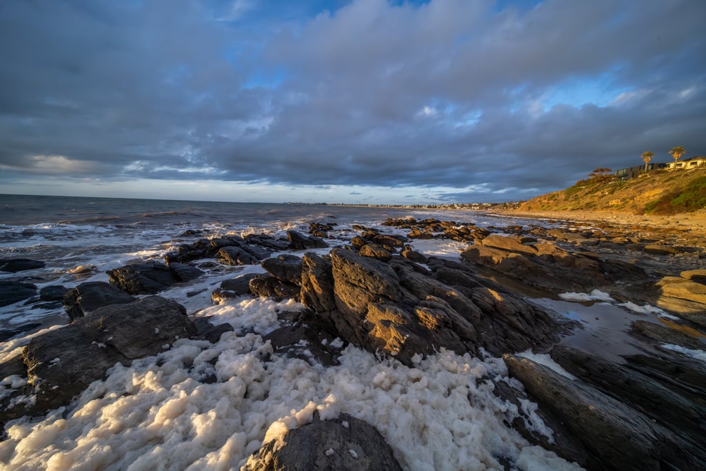 The Adelaide algal bloom at dusk. Picture: Aaron/Adobe Stock