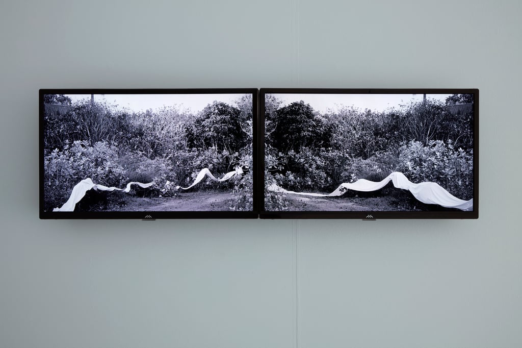 Installation in gallery