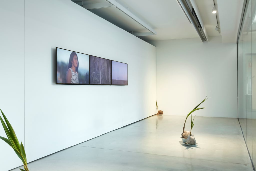 Installation in gallery