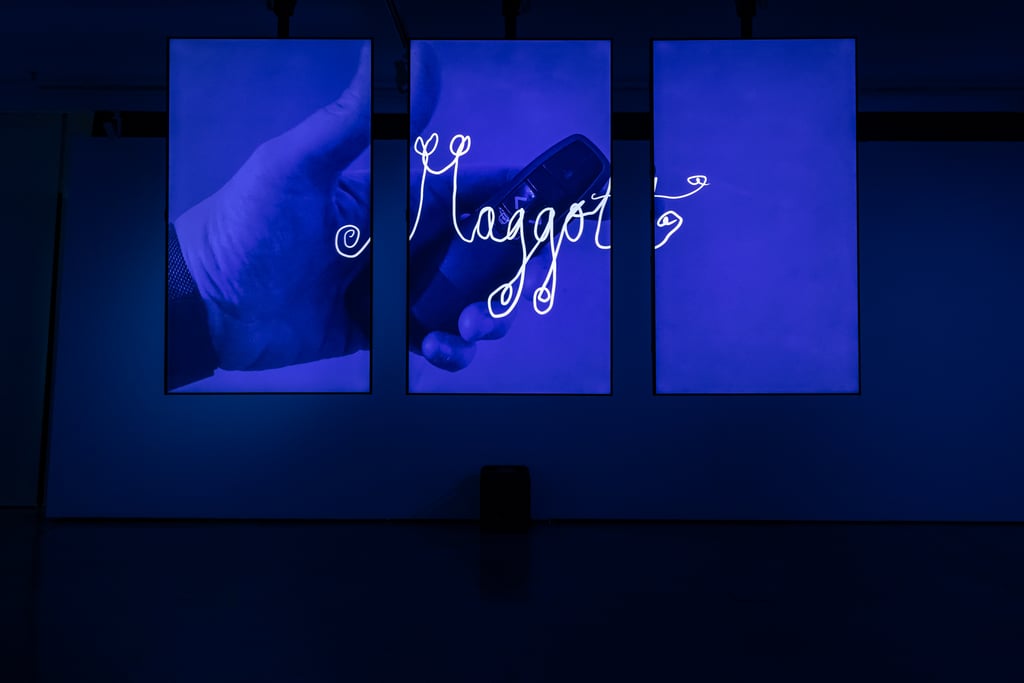 Maggot exhibition