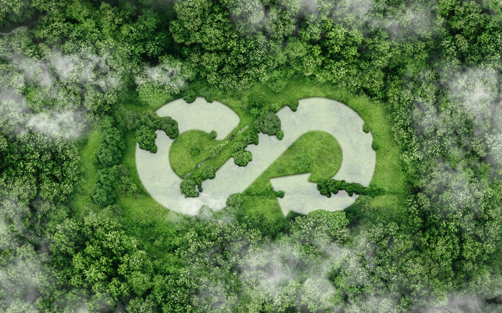 Aerial view of a dense green forest with an infinity-shaped recycling symbol formed by clearings and vegetation in the centre.