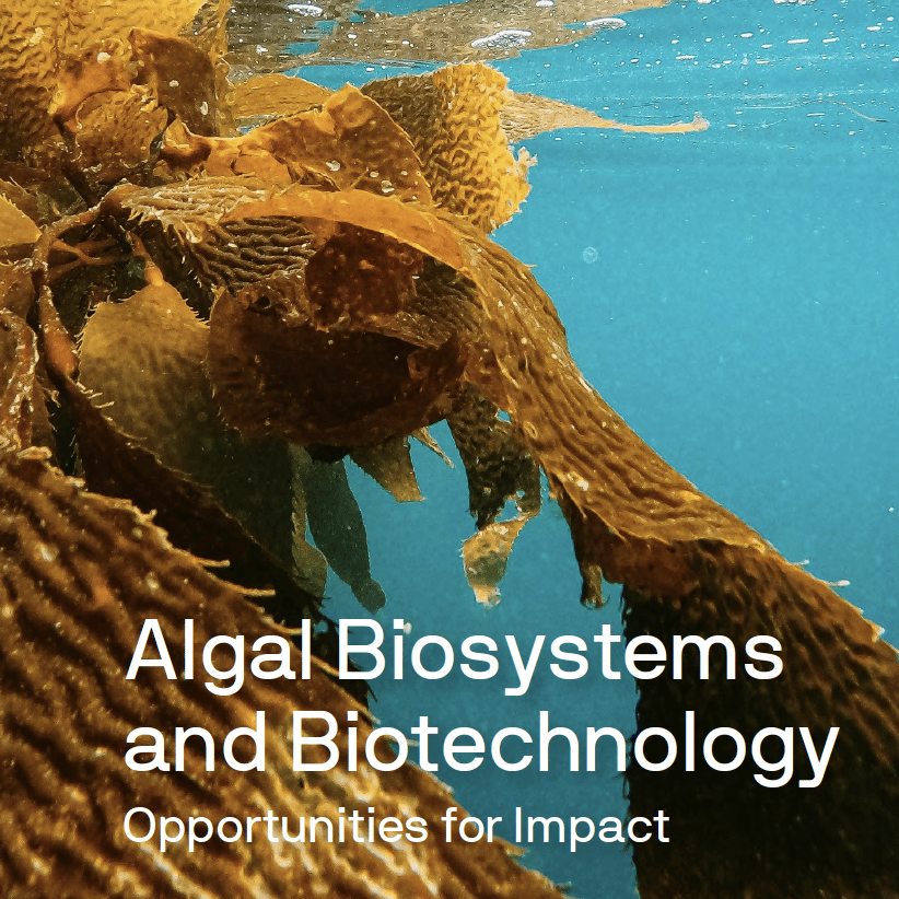 impact brochure cover