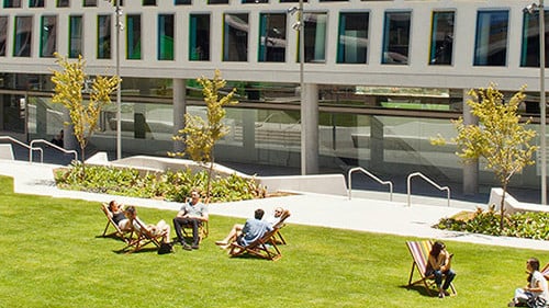 Students sitting on Alumni Green deckchairs