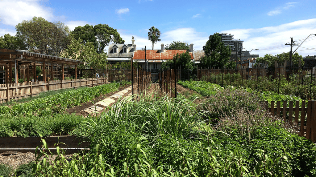 Pocket City Farms, an urban farm and community