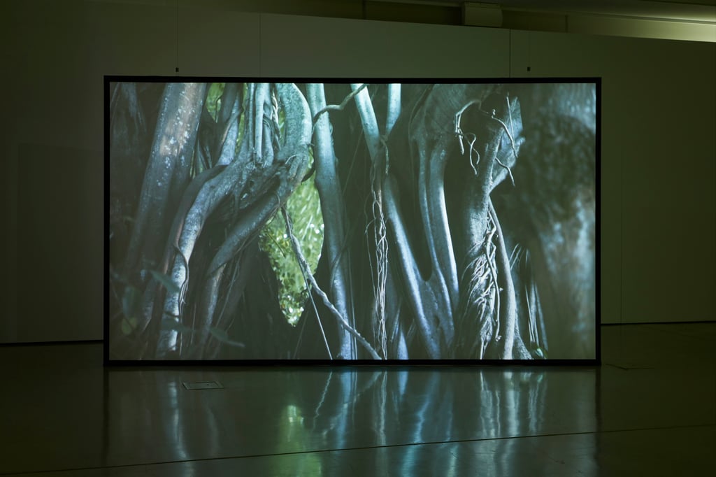 Installation in gallery