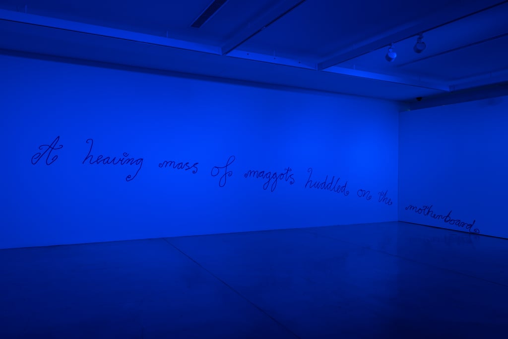 Maggot exhibition