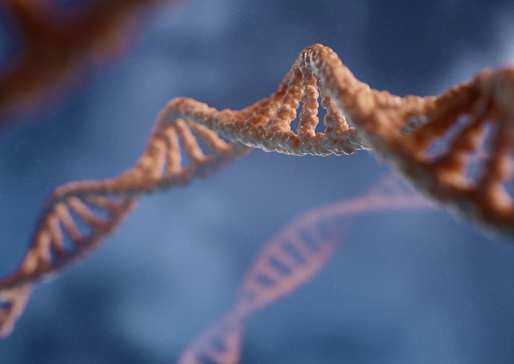 dna strand