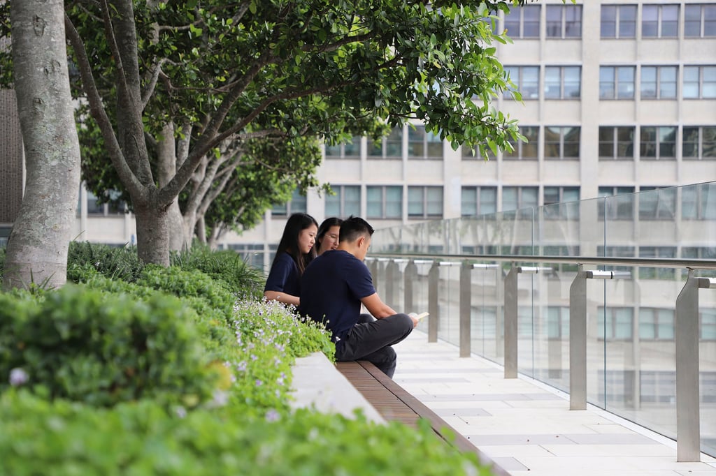 Students sitting in the library terrace
