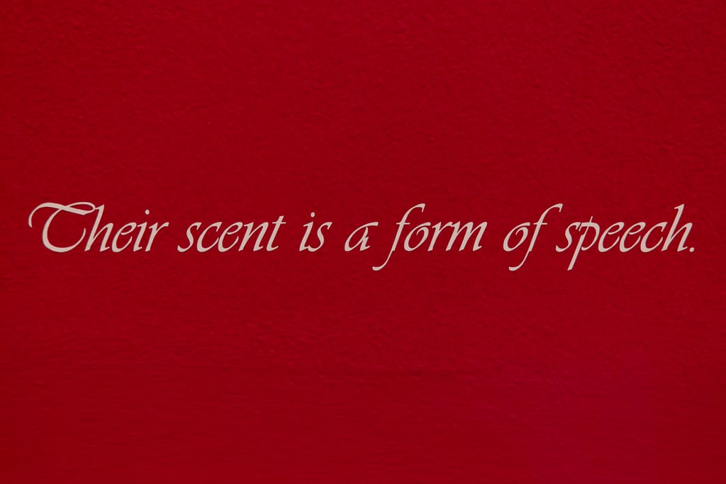 Somewhat Eternal exhibition