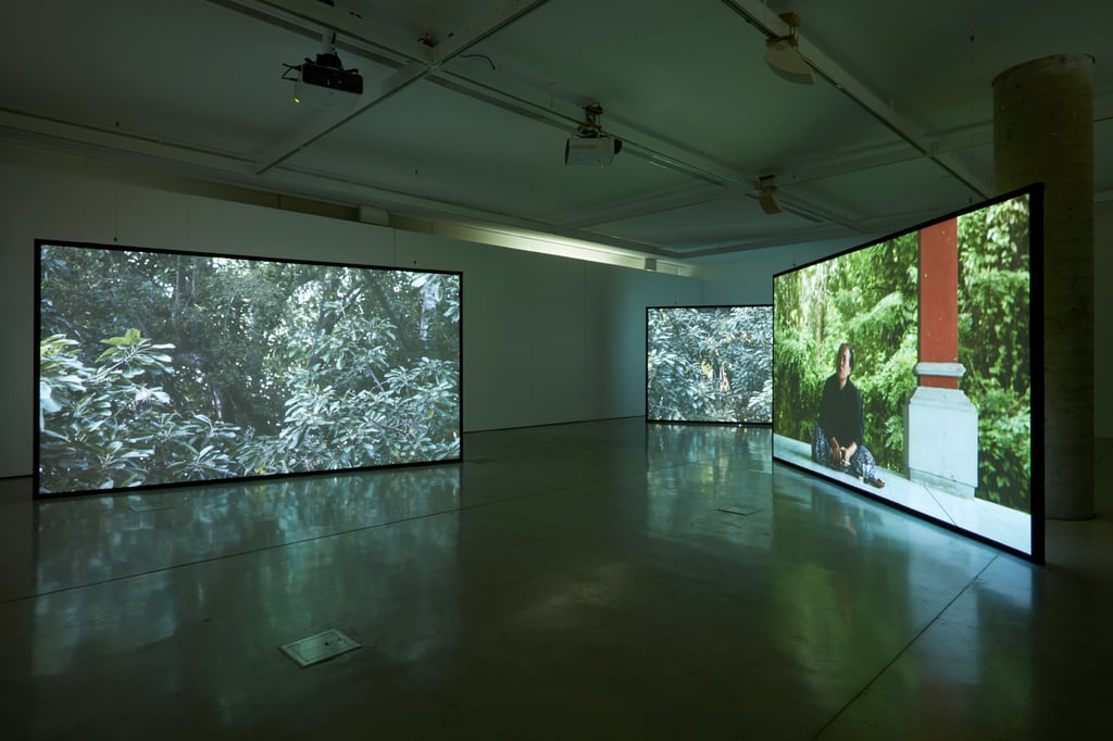 Installation in gallery
