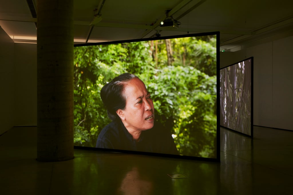 Installation in gallery