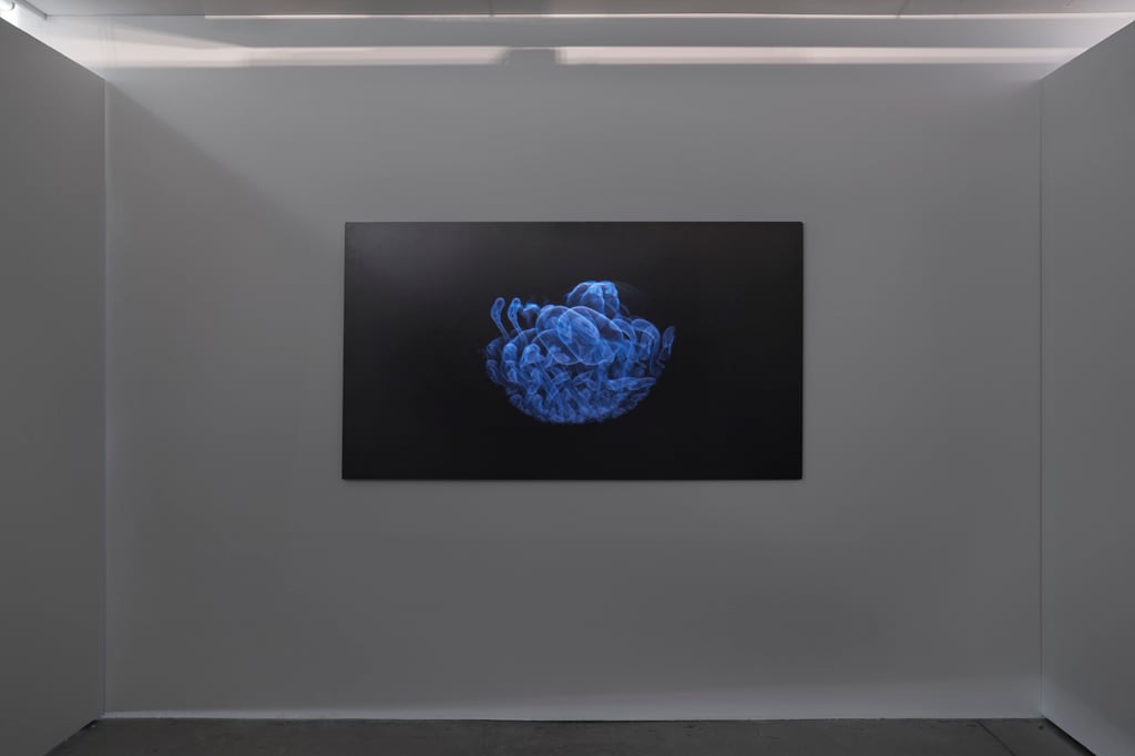 Installation in gallery
