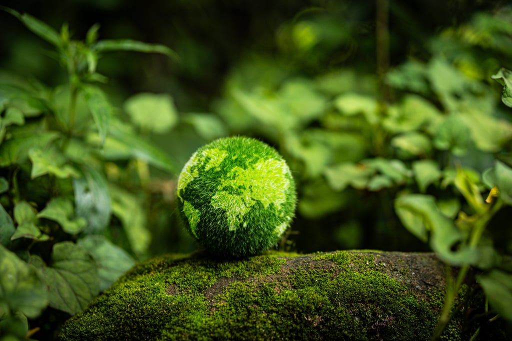 A mossy abstract design of a world globe in amongst plants