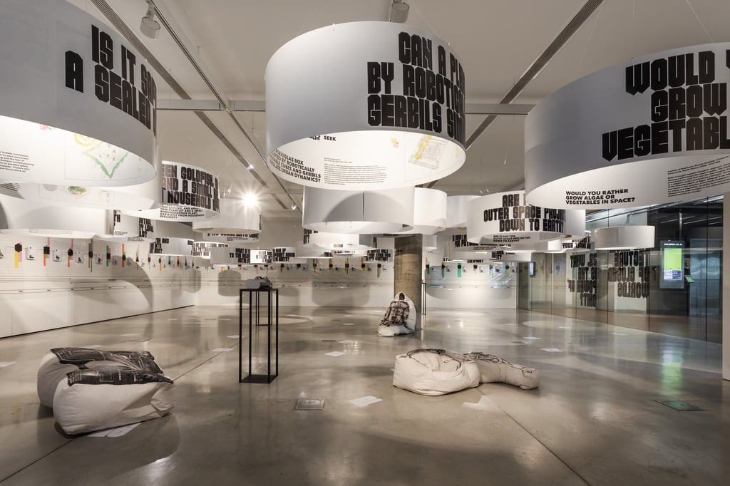 Installation in gallery
