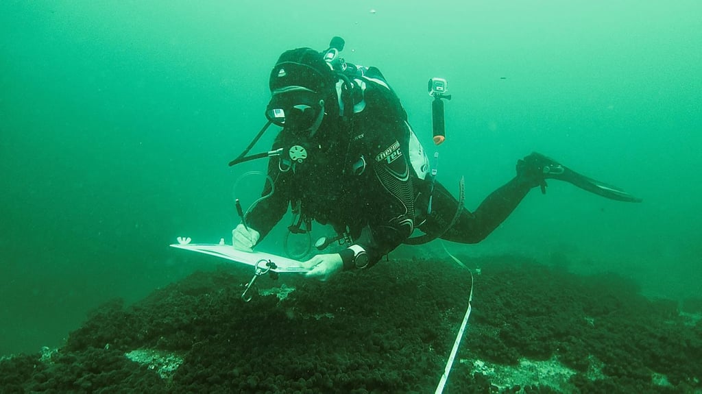 Photo of Jen Matthews diving