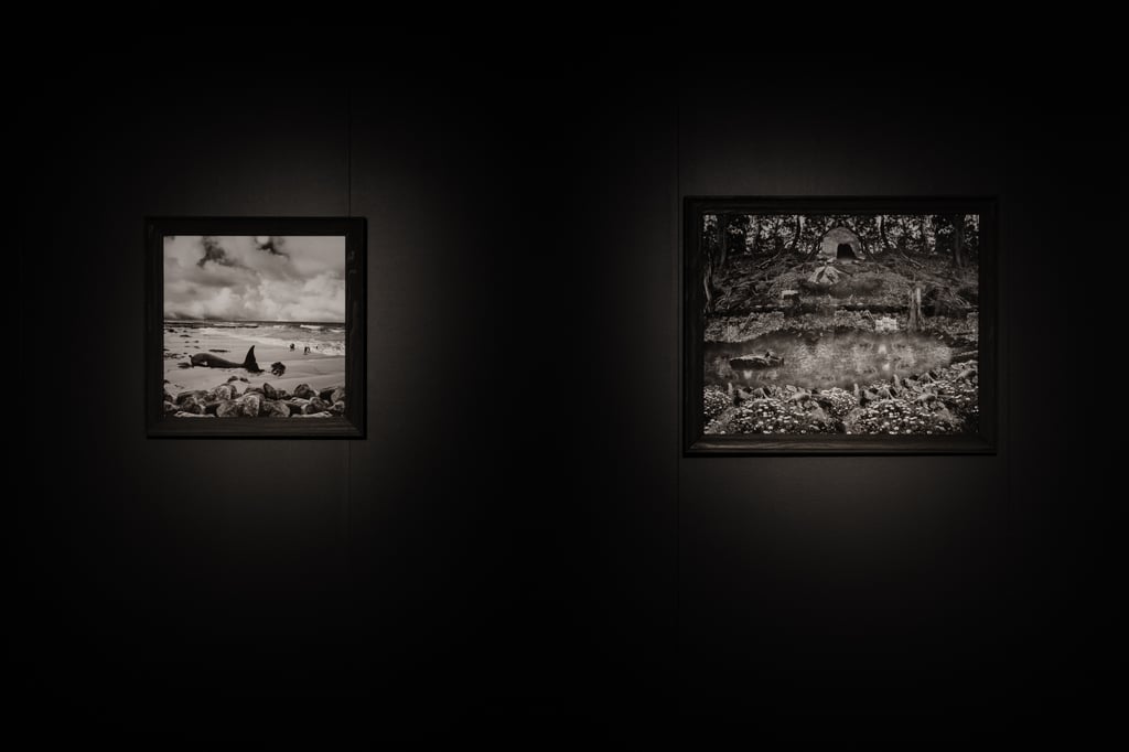 There we were all in one place exhibition