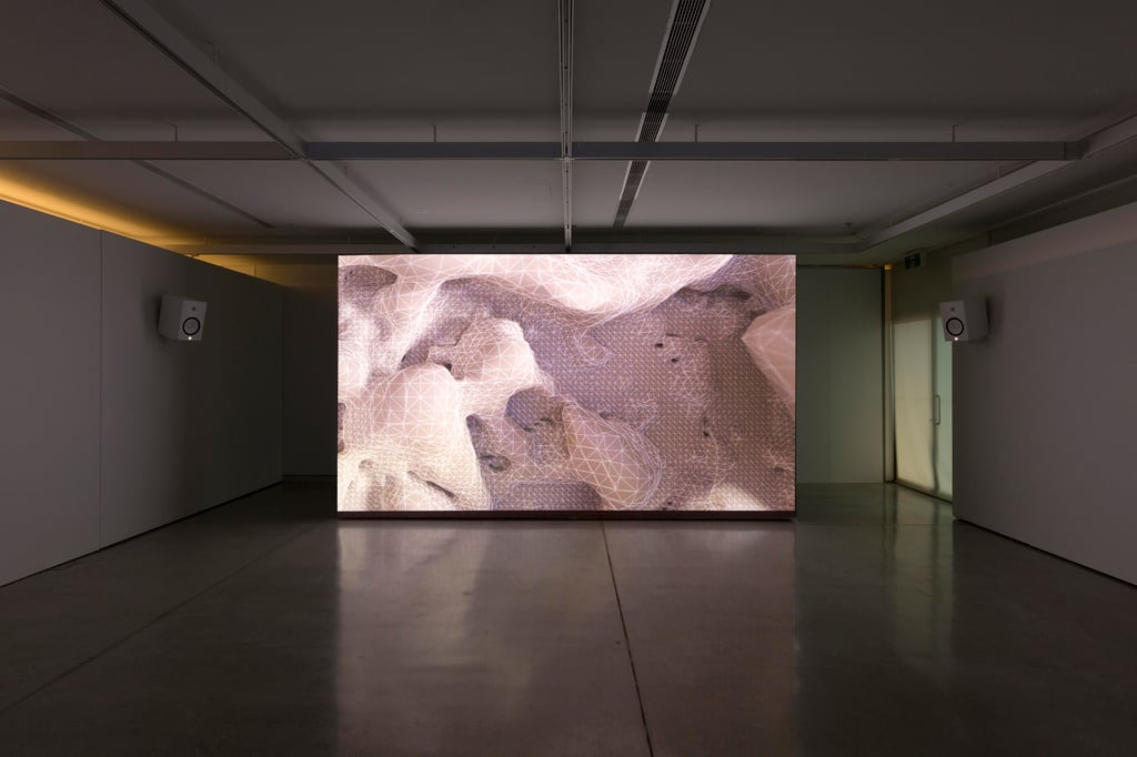 Baden Pailthorpe, Clanger, installation view, UTS Gallery 2018