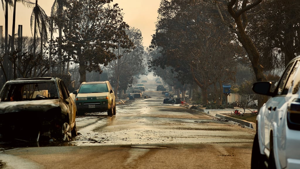 The aftermath of the Palisades wildfire in Los Angeles. Picture by Pierce/Adobe Stock