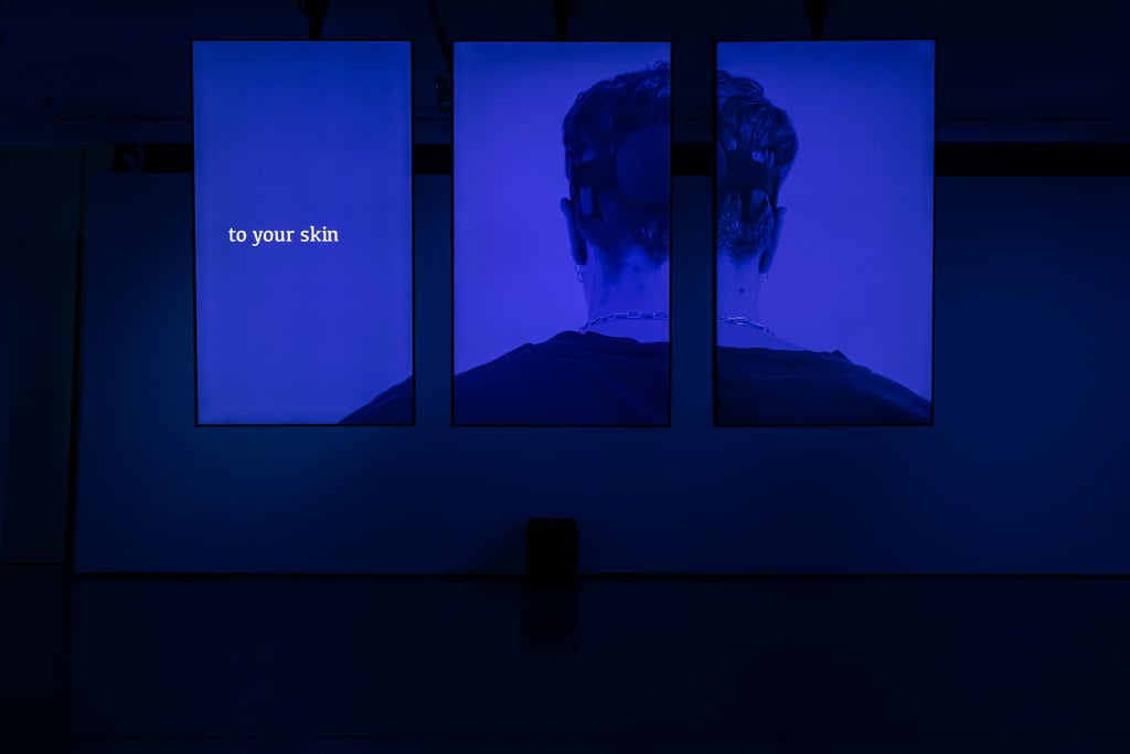 Maggot exhibition
