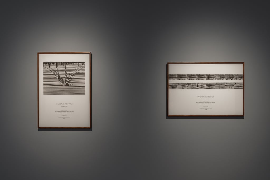 A Moment in Extended Crisis exhibition