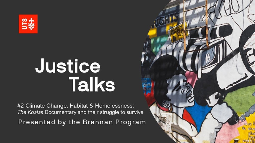 Social Justice Lawyering and Volunteering