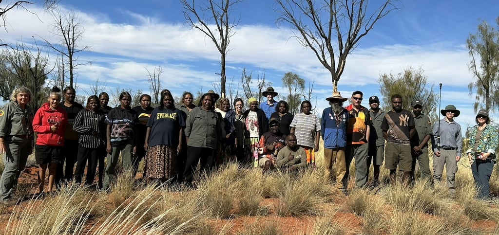 The collaborative research team worked together to share knowledge about why plants are dying at Uluṟu-Kata Tjuṯa. Picture: Nunzio Knerr