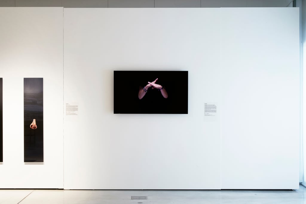 Installation in gallery