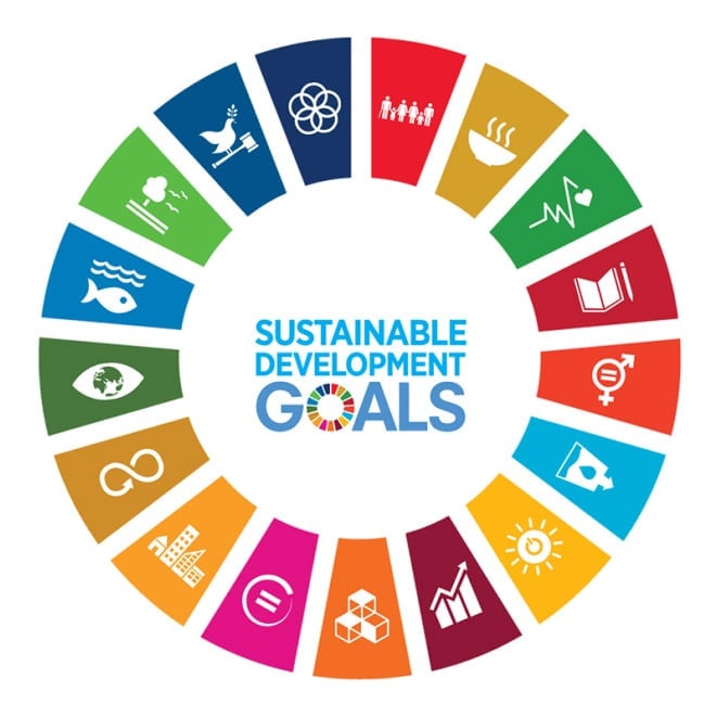 Sustainable Development Goals depicted in a colour wheel