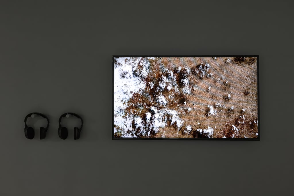 A Moment in Extended Crisis exhibition