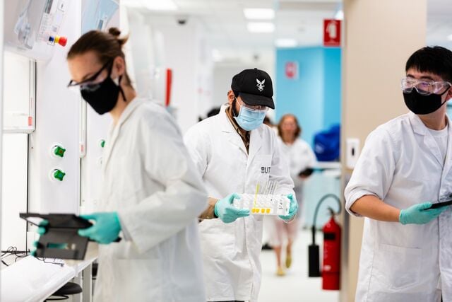 Scientists working in the lab