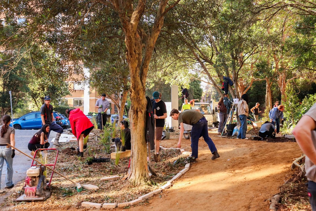 University of Technology Sydney architecture students installing plants at Fred Hollows Reserve.