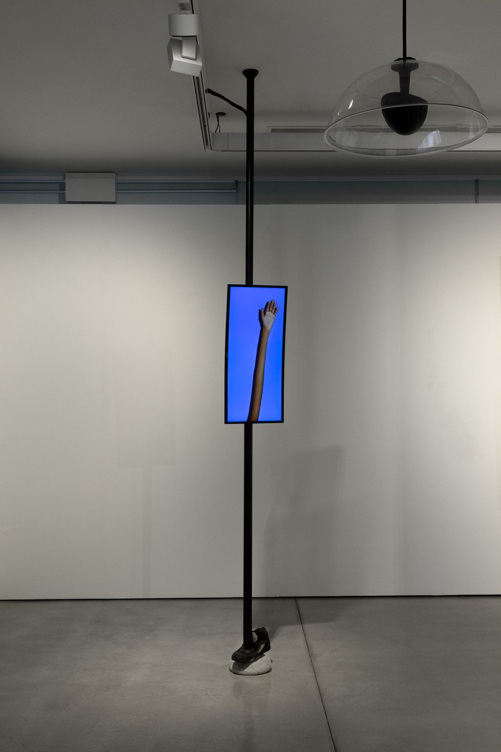 Installation in gallery