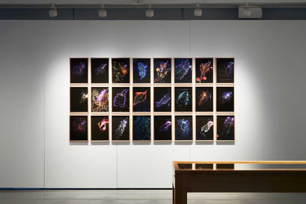 Installation in gallery