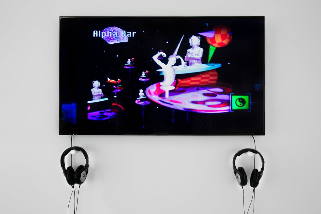 Installation in gallery