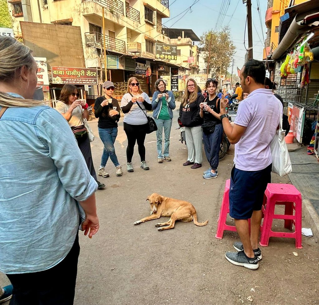 The calm, competent way India’s street dogs navigated busy cities led many of our participants to rethink their assumptions. Kapil V. Patwardhan, CC BY-NC-ND